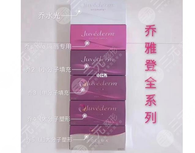 保柔緹和喬雅登