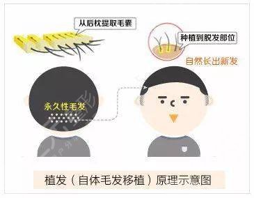 重慶新橋醫(yī)院簡(jiǎn)介：