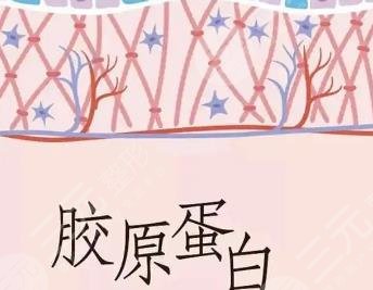 膠原蛋白