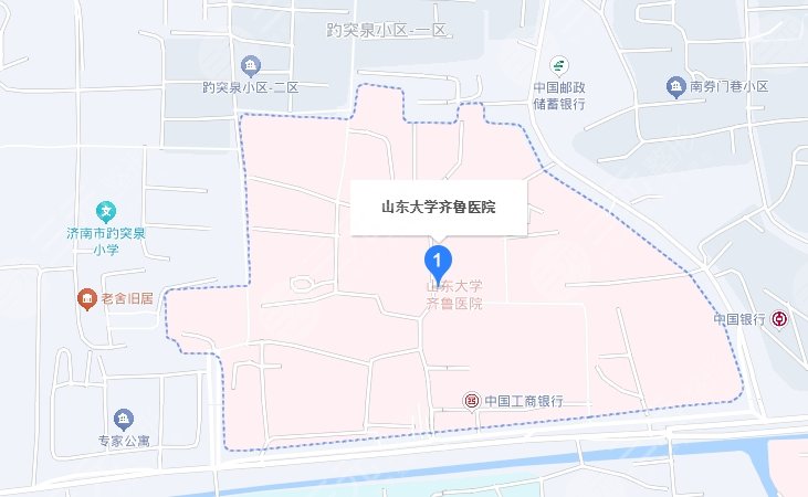 山東大學(xué)齊魯醫(yī)院
