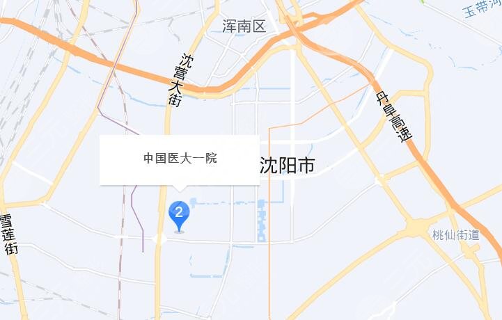 沈陽(yáng)醫(yī)大一院地址