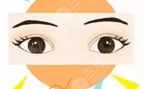 雙眼皮