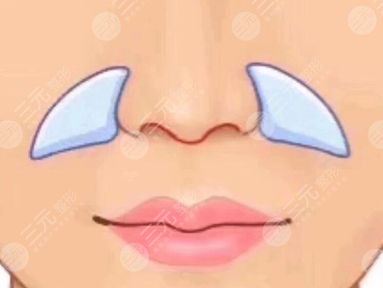 鼻基底