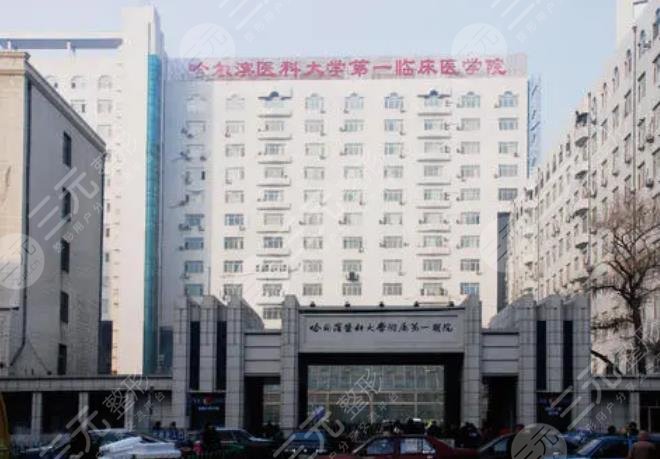 哈爾濱醫(yī)科大學(xué)附屬第一醫(yī)院