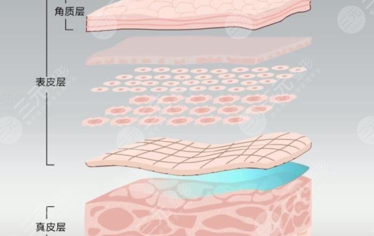 抗衰