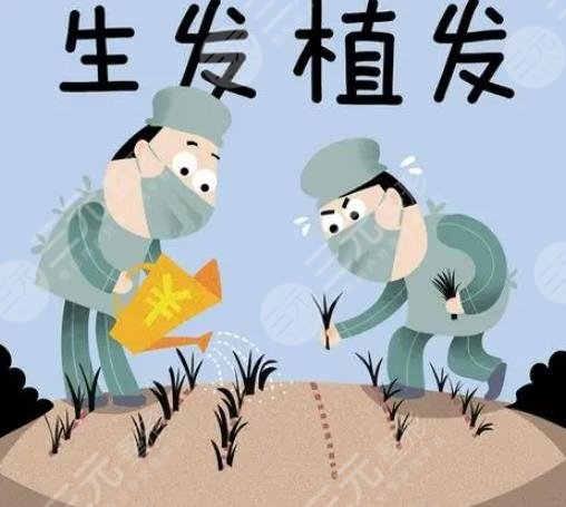 植發(fā)