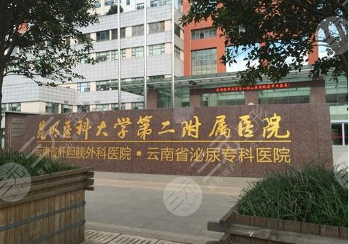 昆明玻尿酸多少錢