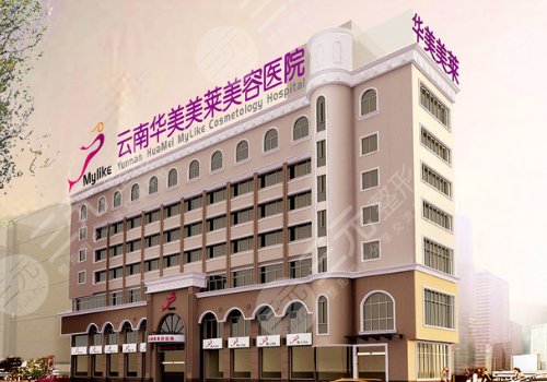 昆明自體脂肪豐胸醫(yī)院排名