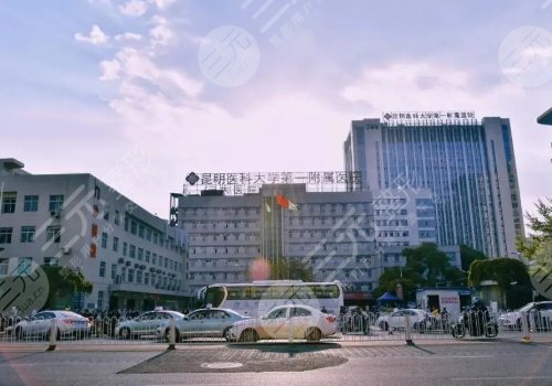 昆明自體脂肪豐胸醫(yī)院排名