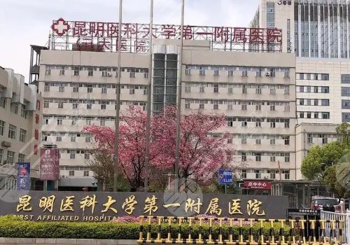 昆明自體脂肪豐胸費用多少錢