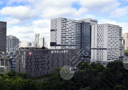 深圳十強醫(yī)美醫(yī)院排名